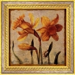 Daffodil Fragment Detail (Murray Pamela), 18 см х 18 см 2010 г ; Упаковка: Багетная рама, целлофановая упаковка инфо 3656r.